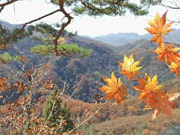 农业种植业：哪个最有“钱”途？